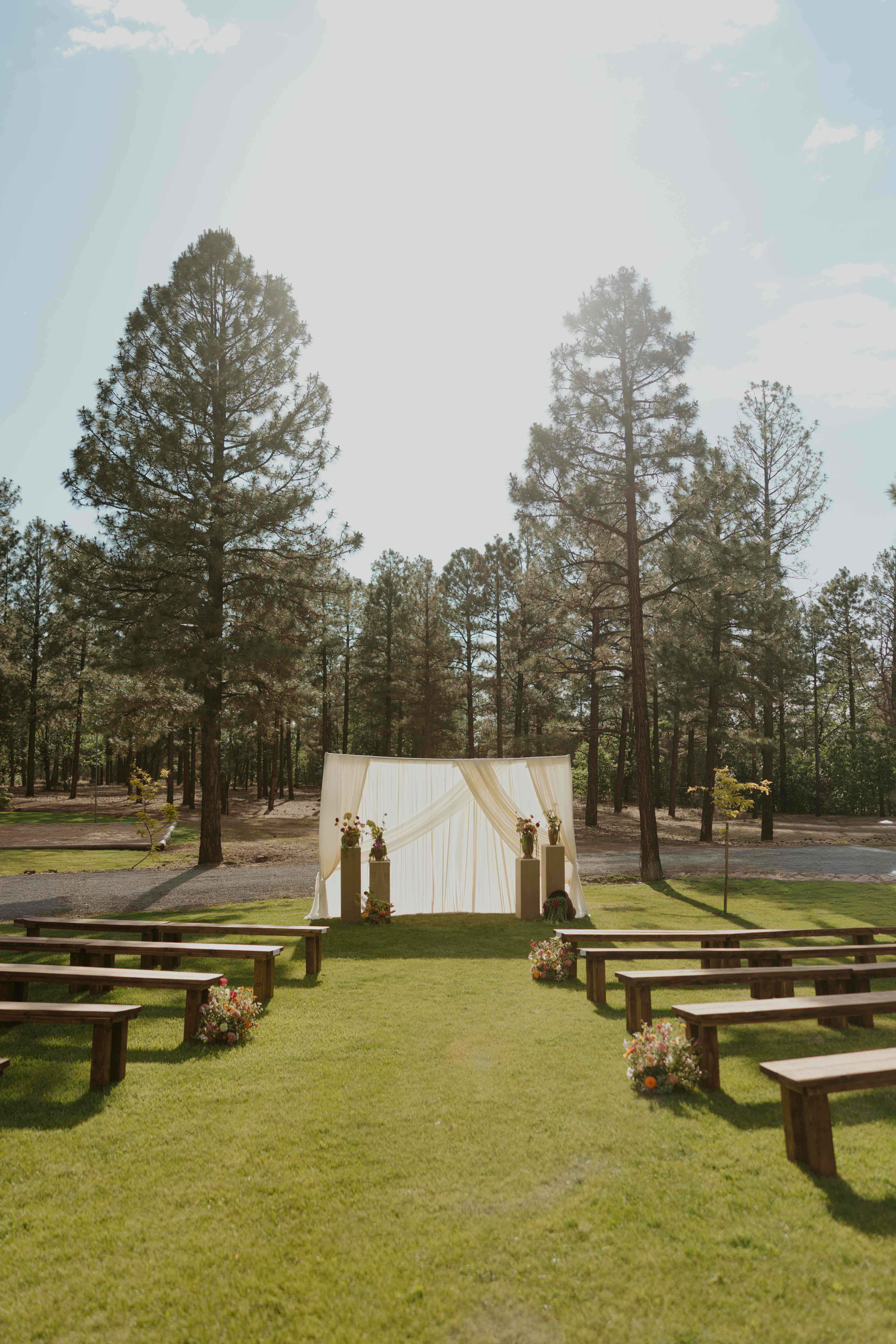 Outdoor ceremony setup with wooden benches and a draped ivory backdrop on a sunny lawn framed by tall pines